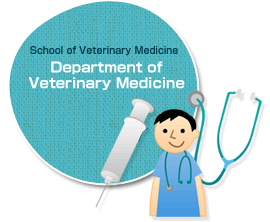Department of Veterinary Medicine